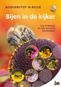 thumbnail - Biodiversiteit in België - Bijen in de kijker